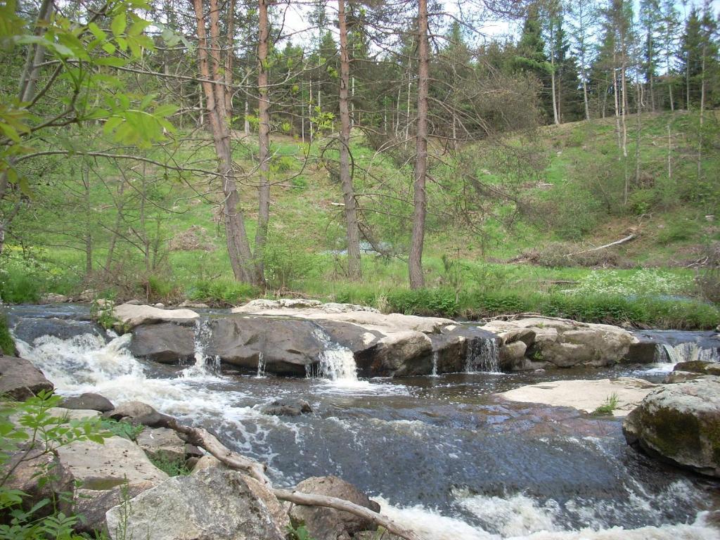 Les Roulottes De La Ferme Des Chanaux Saint-Julien-d'Ance Екстериор снимка